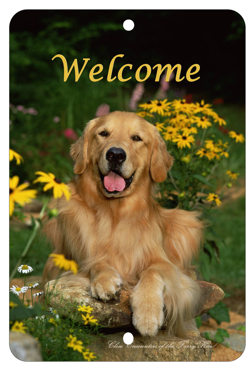 Golden Retriever  - CE Outdoor Aluminum Sign