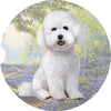 Bichon Frise Car Coaster