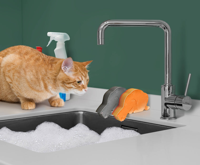 Kitchen Kittens- Set of 2 Kitchen Sponges