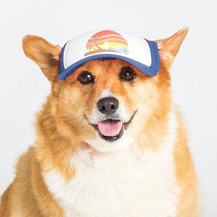 Trucker Hat for Dogs/Cats: Island Sunset Black/ XXS