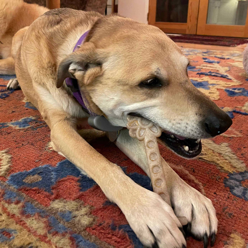 SP Flower Tower Durable Nylon Chew and Enrichment Dog Toy