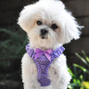 American River Polka Dot Dog Harness - Paisley Purple