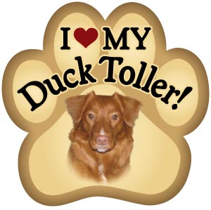 Show off your love for your favorite furry friend with our Nova Scotia Duck Toller Paw Magnet! Perfect for your car trunk or any magnetic surface, this adorable paw-shaped magnet features a vibrant image of your favorite dog or cat breed. Made from durable, weather-resistant materials, it’s designed to withstand the elements while adding a touch of personality to your vehicle or home. 