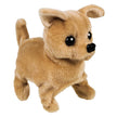 Westminster Chi Chi the Walking Chihuahua Dog