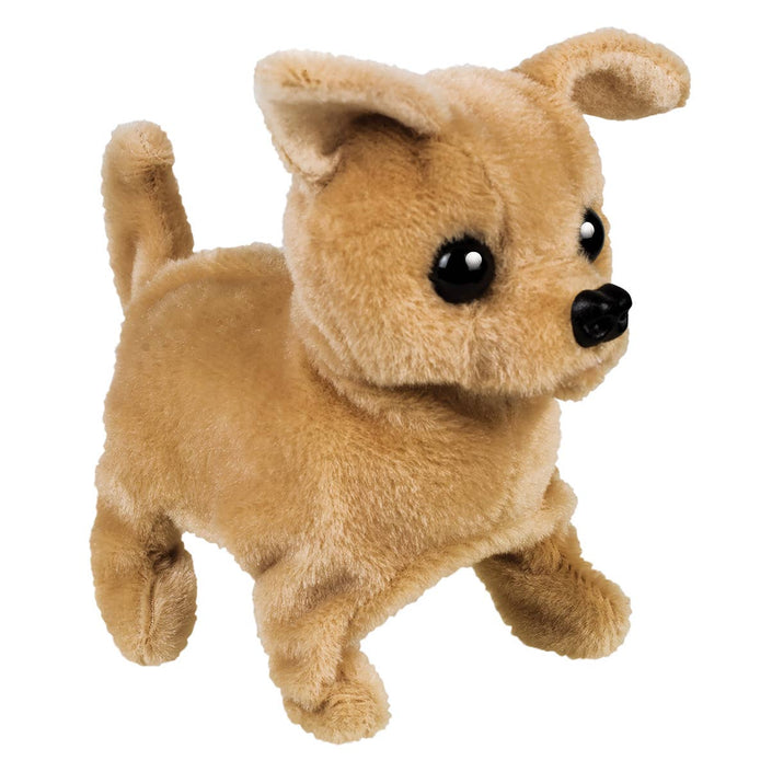 Westminster Chi Chi the Walking Chihuahua Dog