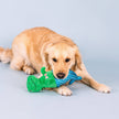 Dog Toy Dinosaur Mermaid Mer-Rex Plush Toy