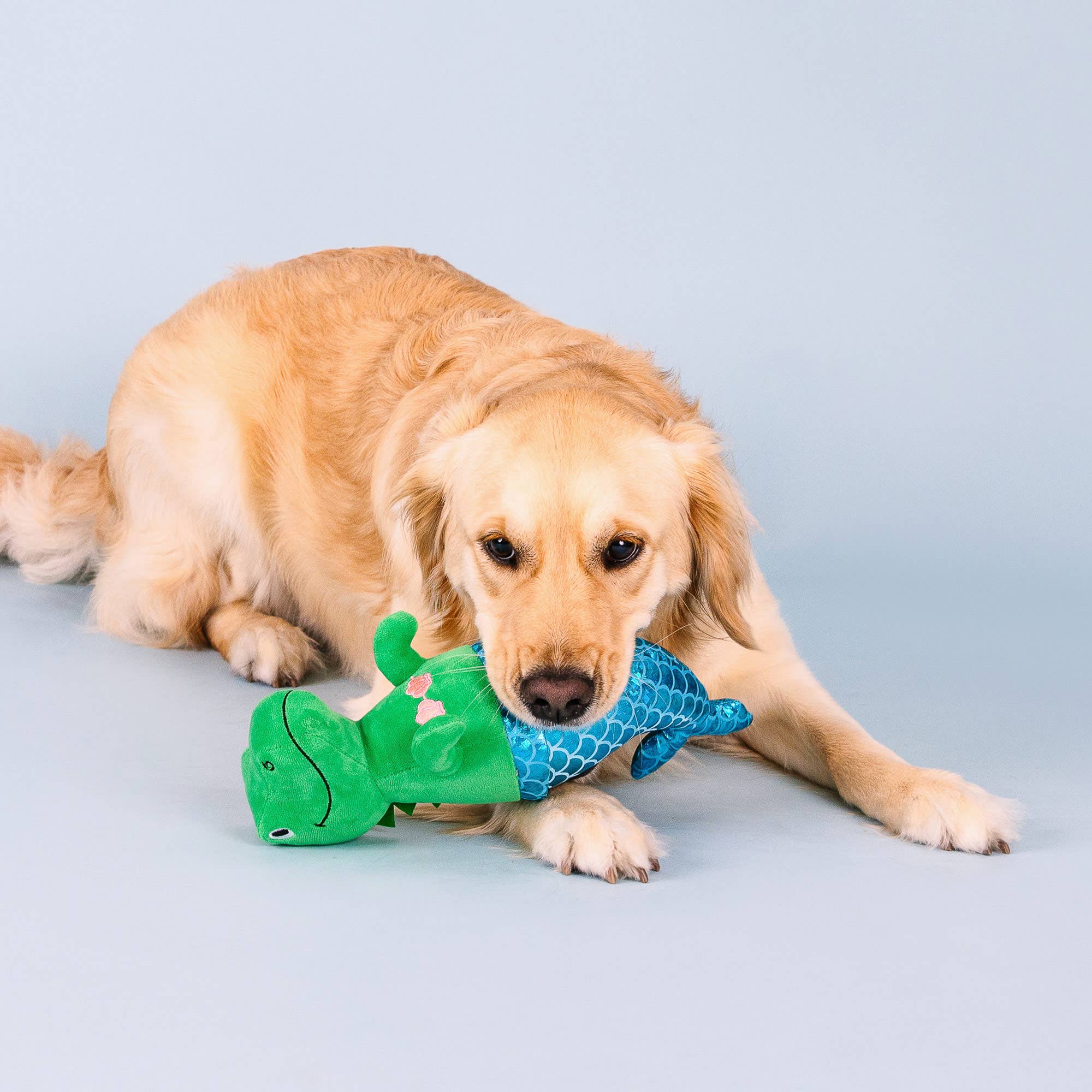 Dog Toy Dinosaur Mermaid Mer-Rex Plush Toy