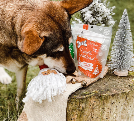 Lazy Dog Vanilla Shortbread Stocking