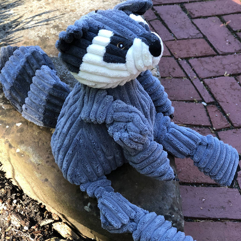 Reggie Raccoon Knottie® Plush Dog Toy