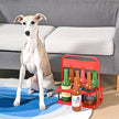Dog Toy Boozy Tailz Pup Light TPR Rubber Dog Toy