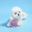 Dog Toy Octopus Floating Ocean Pals Ball Toy