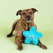 Dog Toy Star Durable I'm A Star Plush Toy