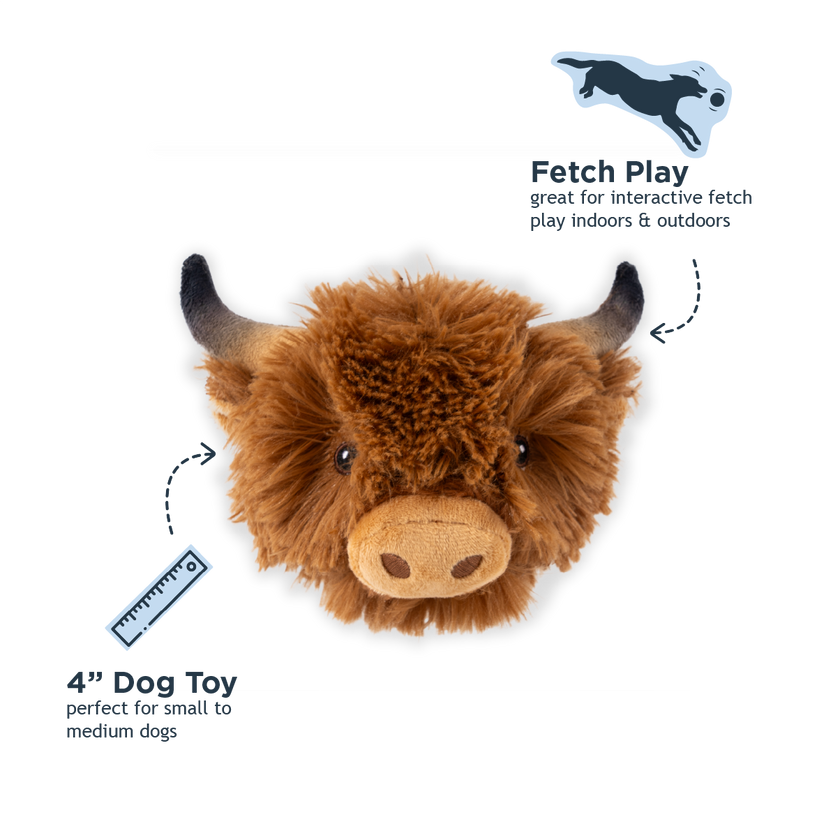 Highland Cow 2-in-1 Fetch Ball Dog Toy