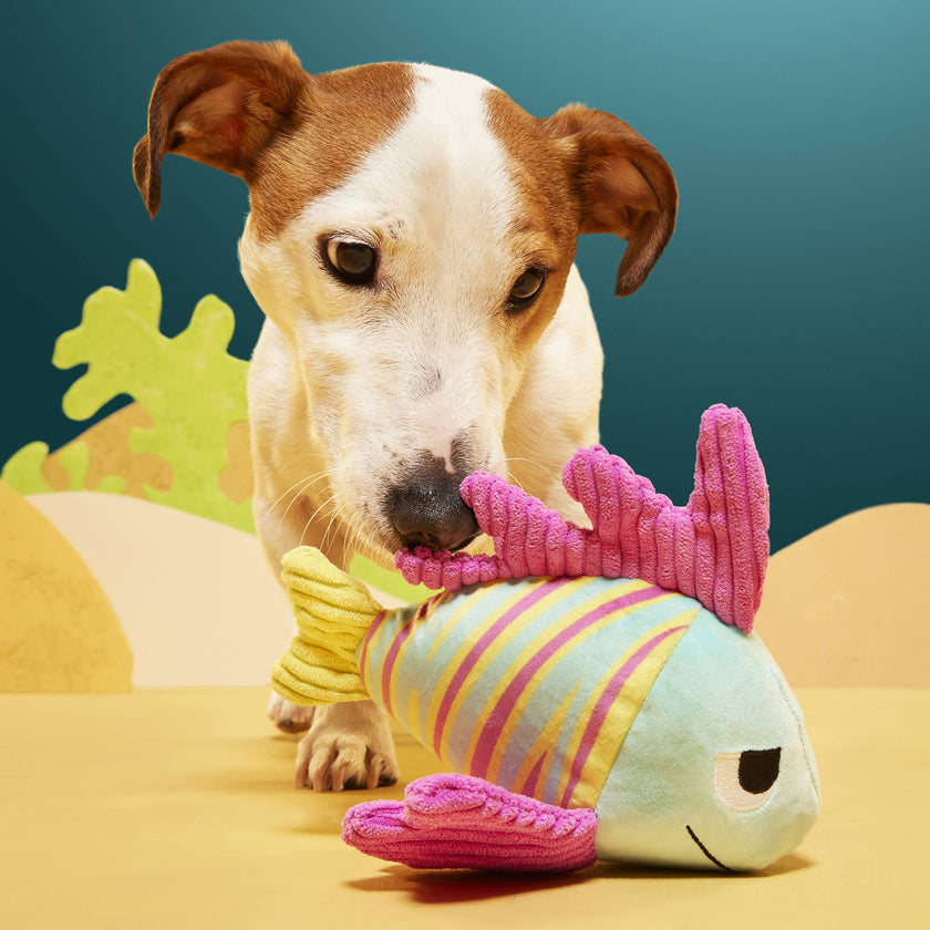 Dog Toy Fish BARK Lion Fish Larry Plush Dog Toy