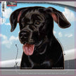 Black Lab - Dogs On The Move Window Decal