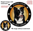 Border Collie My Best Friend Circular Magnet