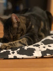 Catnip Filled Crinkle Mat