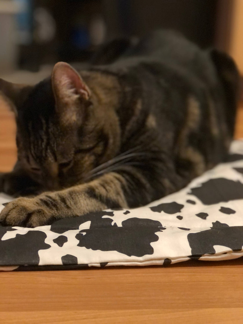 Catnip Filled Crinkle Mat