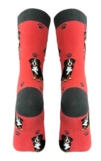 Bernese Mt. Dog- Dog Socks Unisex