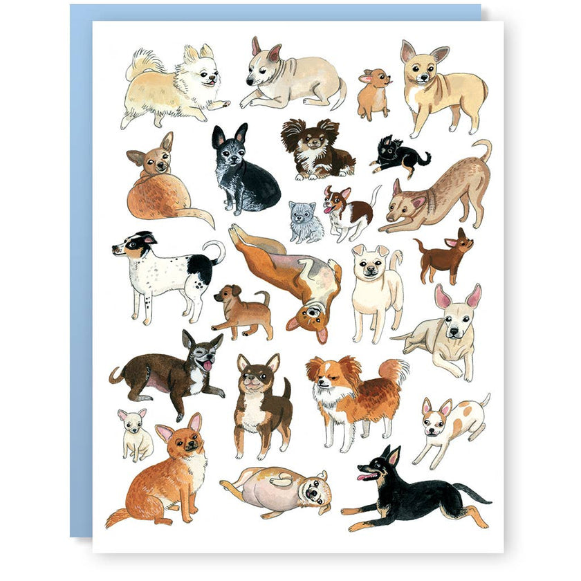 Chihuahua Greeting Card