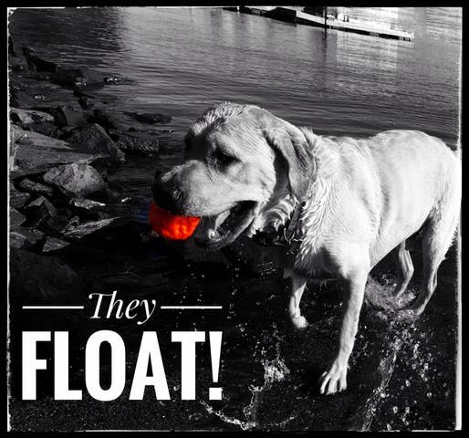 WUNDERBALL X-LARGE Recycled Floating Dog Ball
