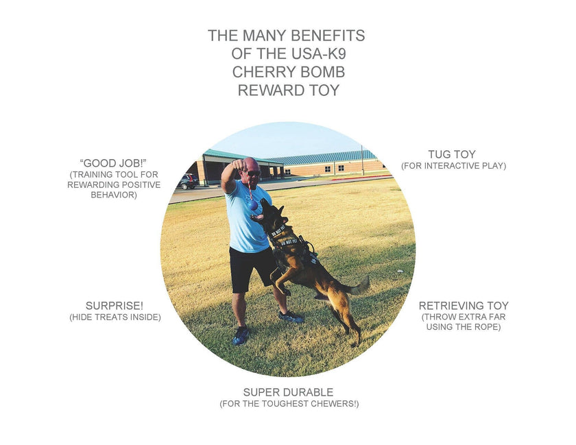 SP USA K9 Cherry Bomb Dog Chew Toy