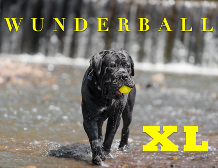 WUNDERBALL X-LARGE Recycled Floating Dog Ball