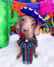 Hat for Cat or Dog Mini Mariachi Hat