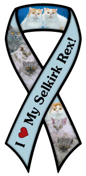 Selkirk Rex Ribbon Car Trunk Magnet