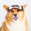 Punta Gorda Trucker Hat for Dogs