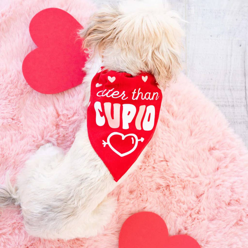 Pearhead Cuter than Cupid Dog Bandana, S/M