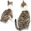 Amy The American Shorthair Cat | 14 Inch Stuffed Animal