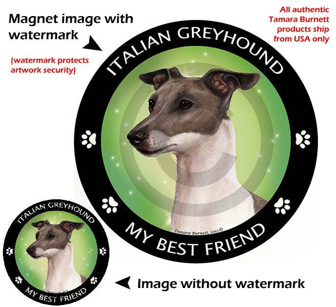 Italian Greyhound Blue Grey and White My Best Friend Magnet