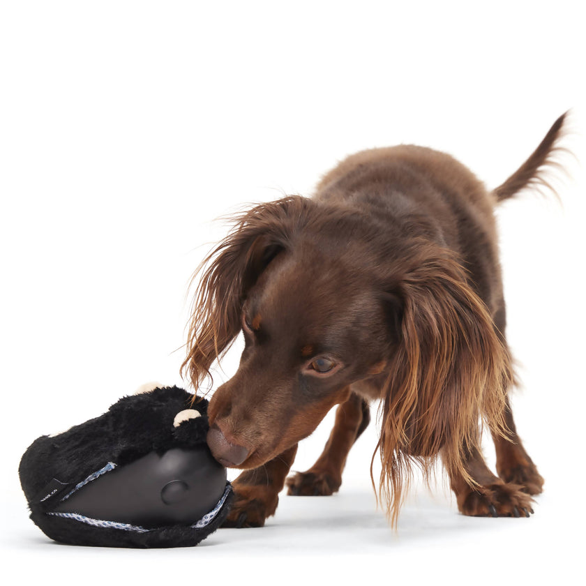 BARK Super Chewer Black Bear Bones Dog Chew Toy M/L