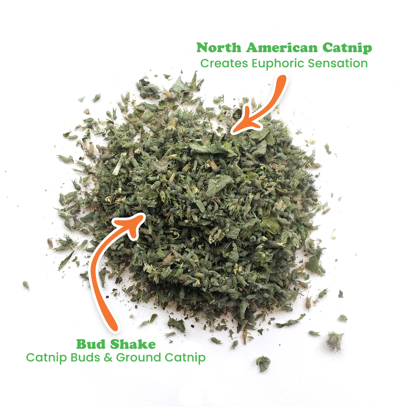 Meowi-Waui - Ground Catnip and Catnip Buds