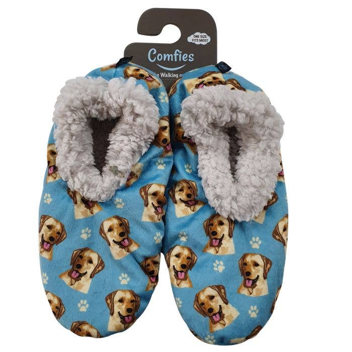 Labrador, Yellow Slippers