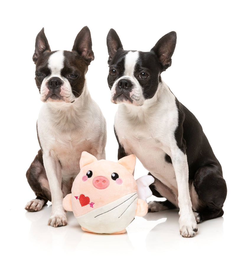 FuzzYard Dog Toy - CU-Pig Dog Toy