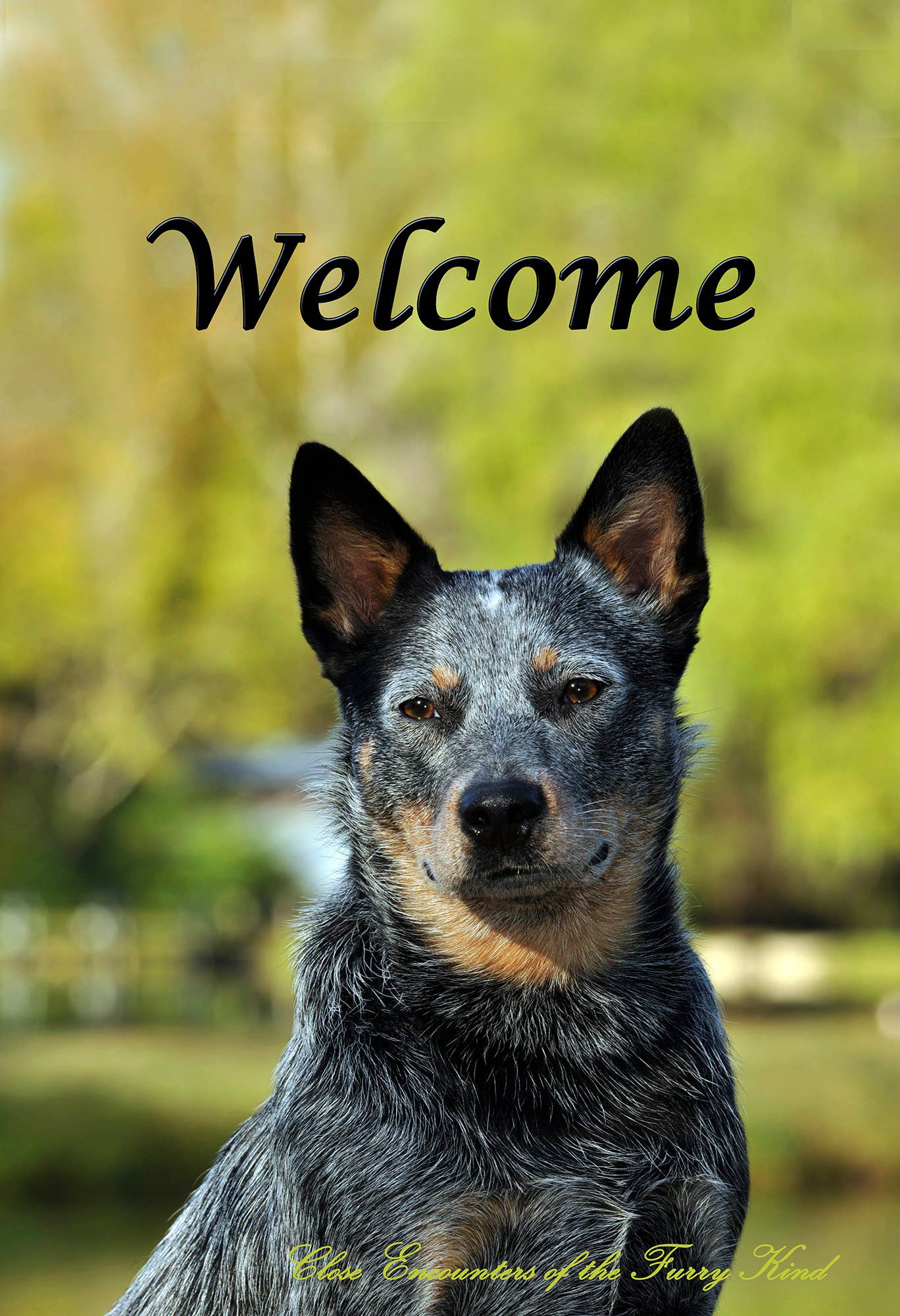 Australian Cattle Dog -  CEFK Welcome Photo House Flag