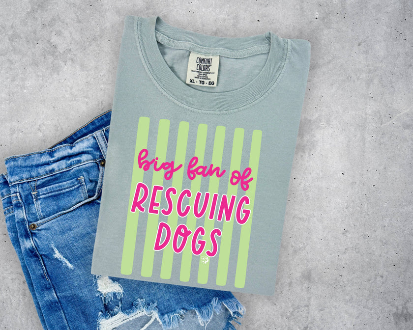 Big Fan of Rescuing Dogs Tee Dog Rescue Mom Tee T-Shirt