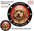 Cockapoo Blonde My Best Friend Circular Magnet