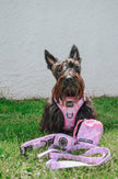 Dog Waste Bag Holder - Purple Haze