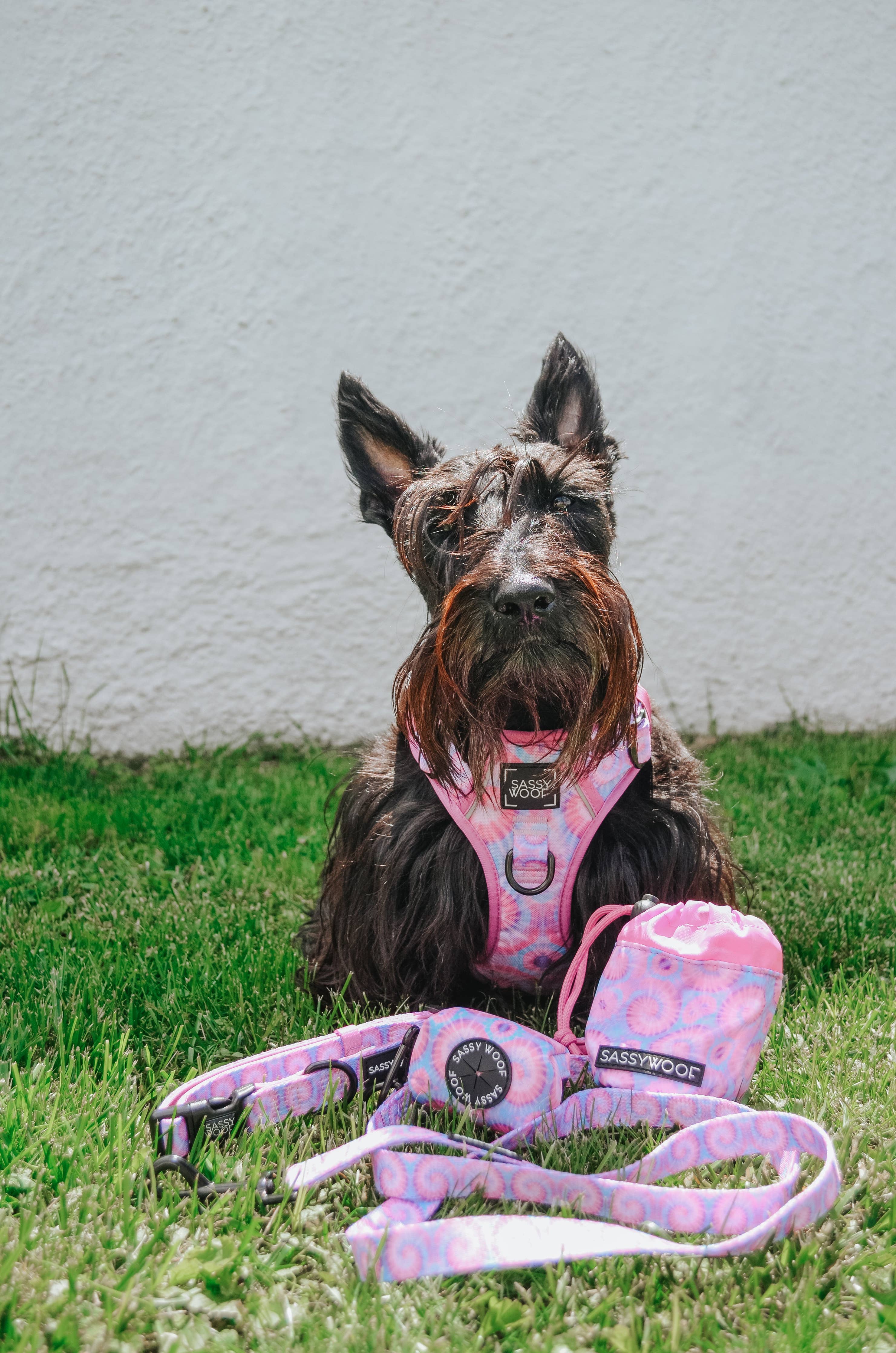Dog Waste Bag Holder - Purple Haze