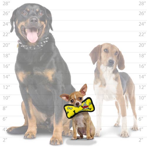 Tuffy Jr Bone Yellow & Ring Red Paw 2 Pack, Durable Dog Toys