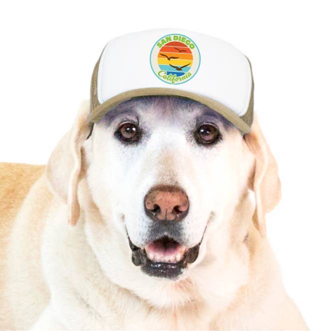 Trucker Hat for Dogs/Cats- Seagull