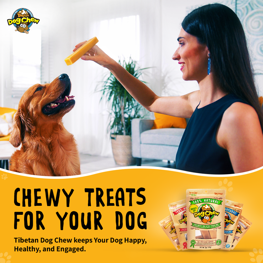 Tibetan Dog Chew Medium Double Up