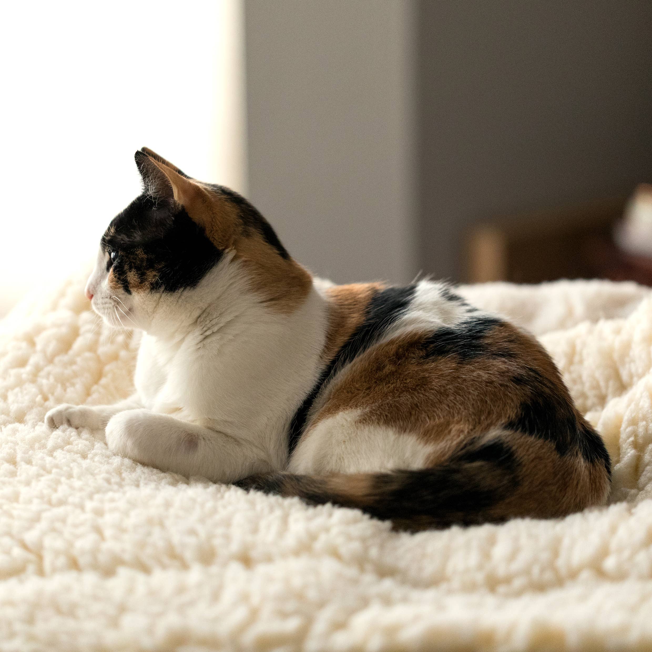 HuggleFleece® Mat/Bed perfect for both Cats & Dogs