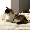 HuggleFleece® Mat/Bed perfect for both Cats & Dogs