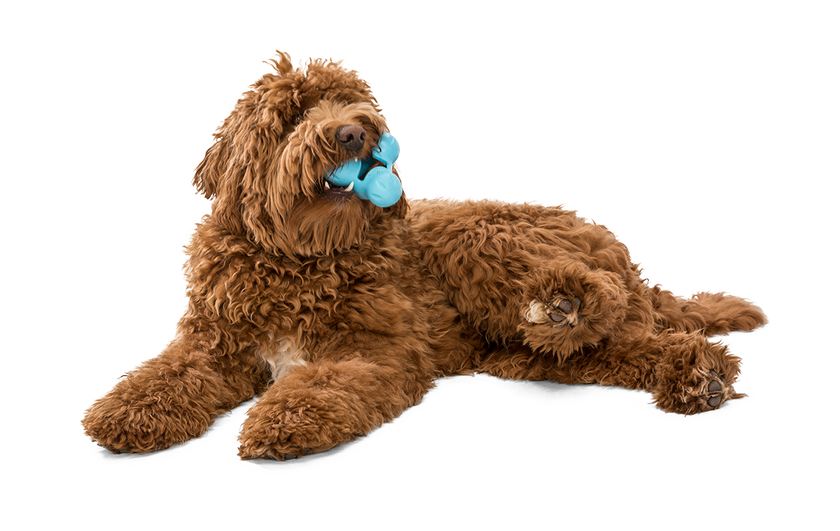Dog Toy Tux® Puzzle Treat-Dispensing Slow Feeder Floating Toy