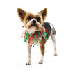 Christmas Jingle Bells Decorative Dog Collar