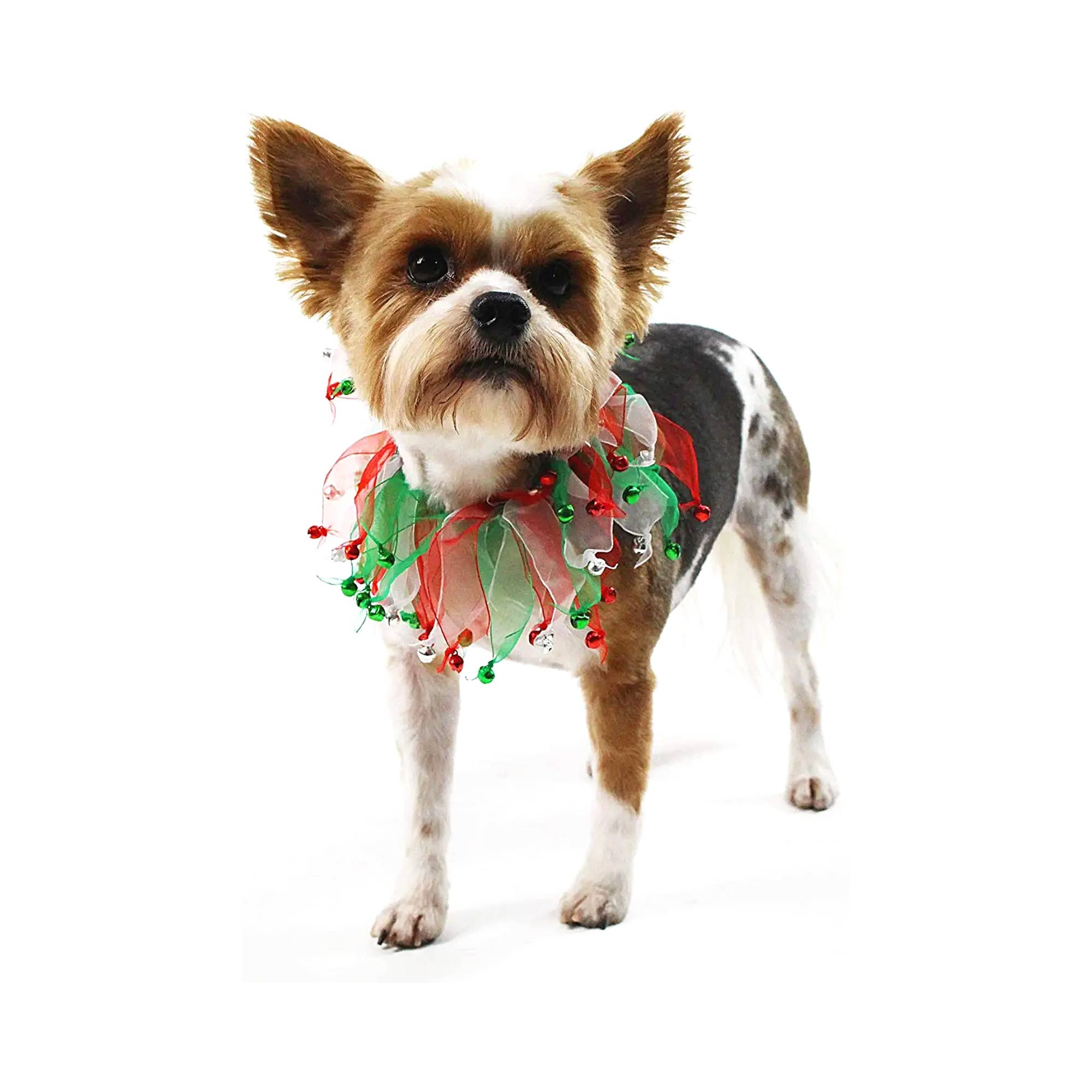 Christmas Jingle Bells Decorative Dog Collar